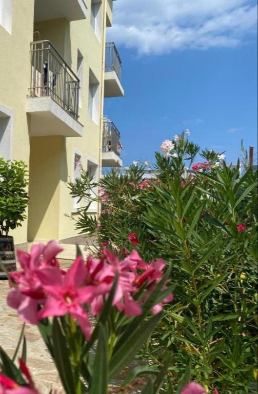 Byala Friendy Sea Apartaments Extérieur photo